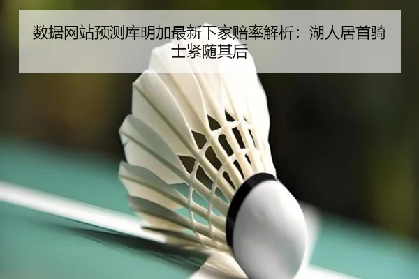 数据网站预测库明加最新下家赔率解析：湖人居首骑士紧随其后